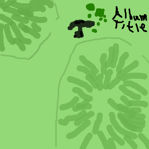 album
