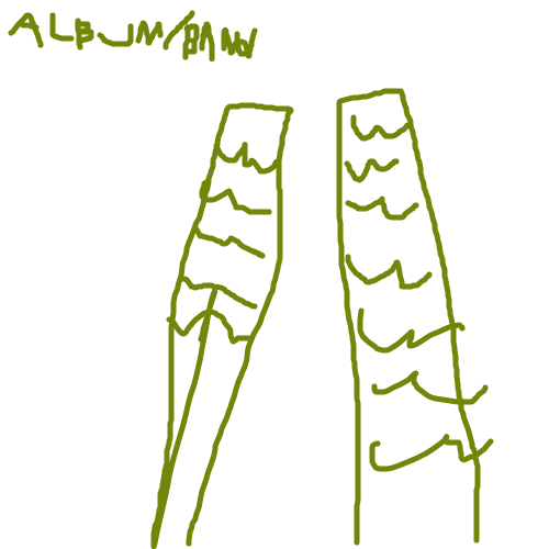 album