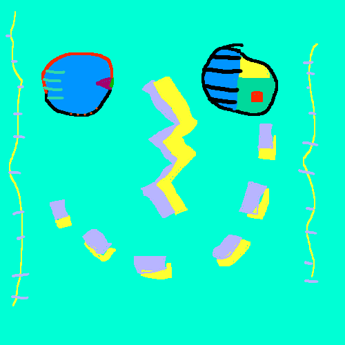 album