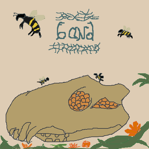 album