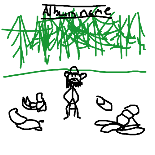 album